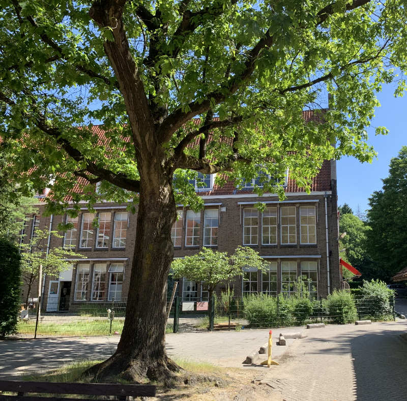 achteraanzicht